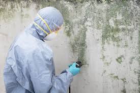 Reliable Simsbury Center, CT Mold Inspection Solutions